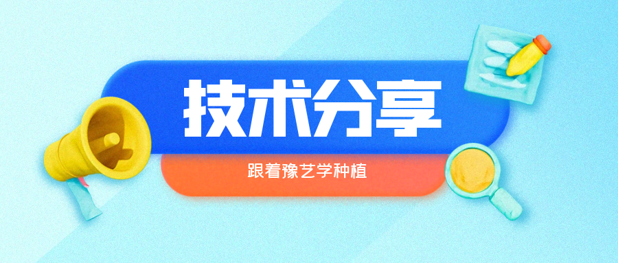 秋大棚辣椒、番茄育苗關(guān)鍵技術(shù)分享